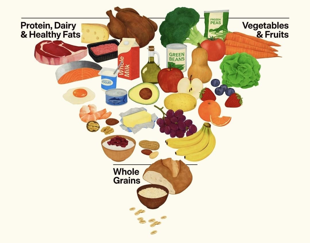 New Inverted Food Pyramid