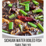 A bowl of Sichuan Water Boiled Fish with tender fish fillets in a rich red chili broth, topped with dried chilies, red and green Sichuan peppercorns, scallions, and ginger, served over steamed white rice.