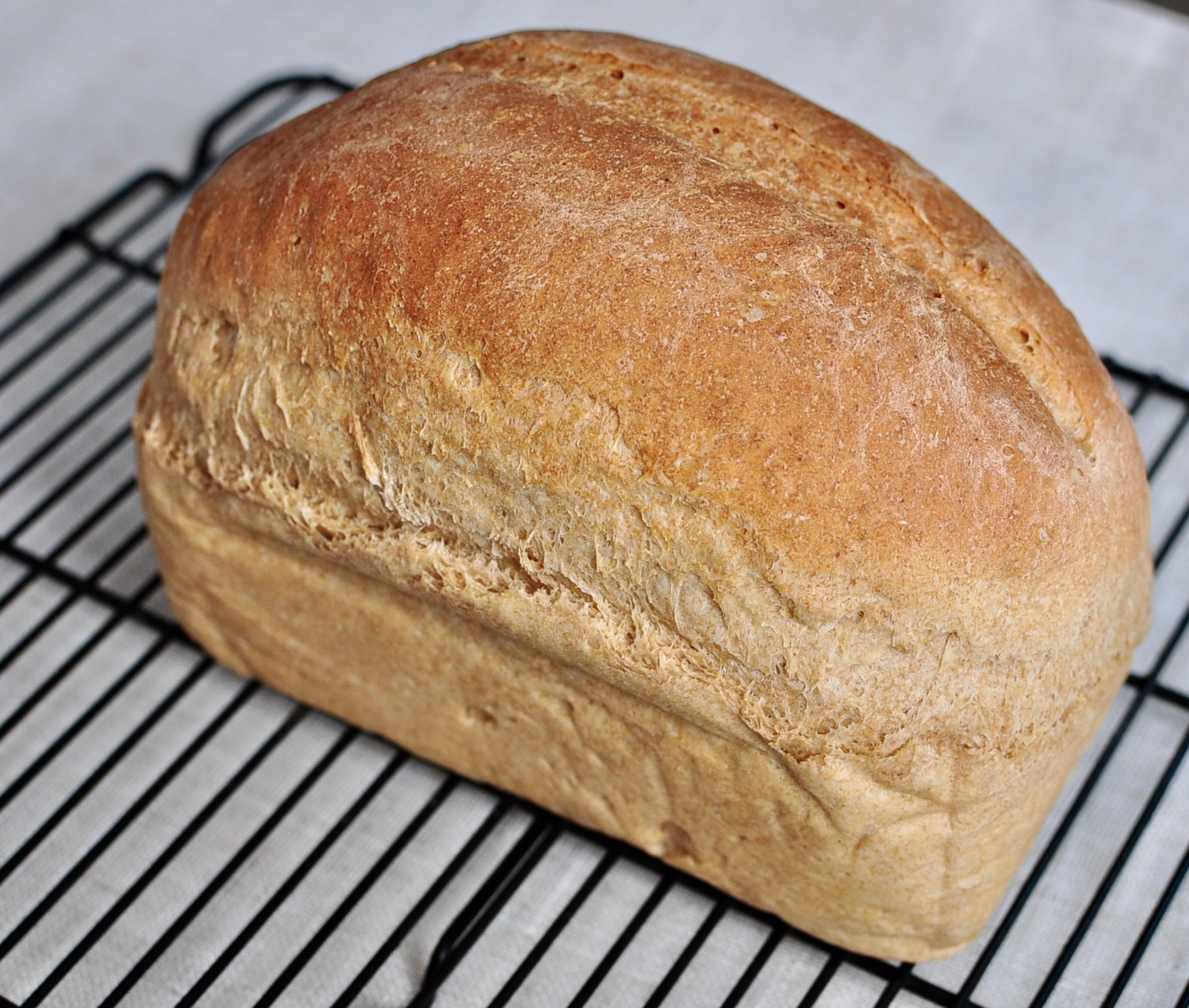 Sandwich bread cooling on wire rack