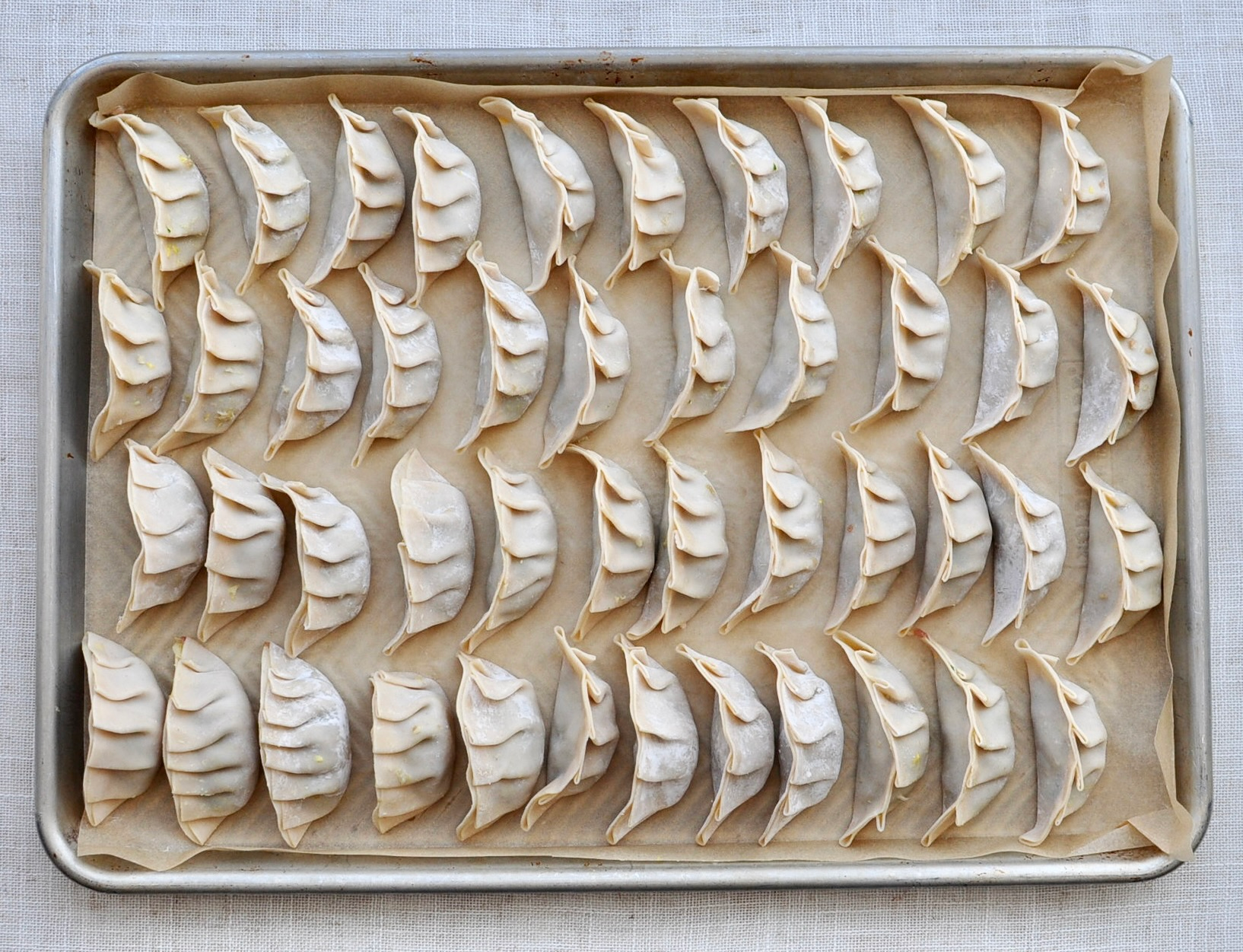pork and leek dumplings