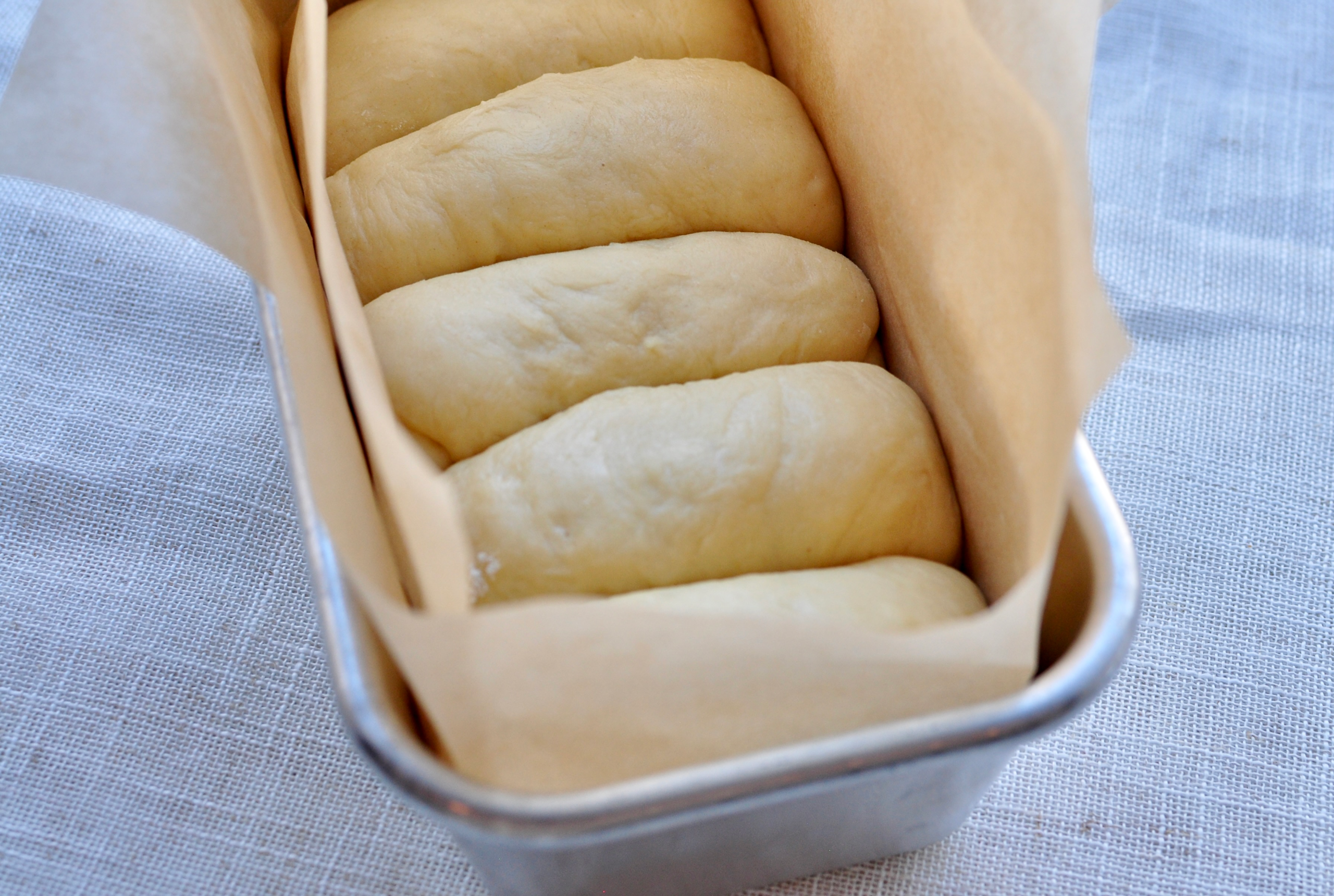 Dough for pull apart bread after 2nd rise