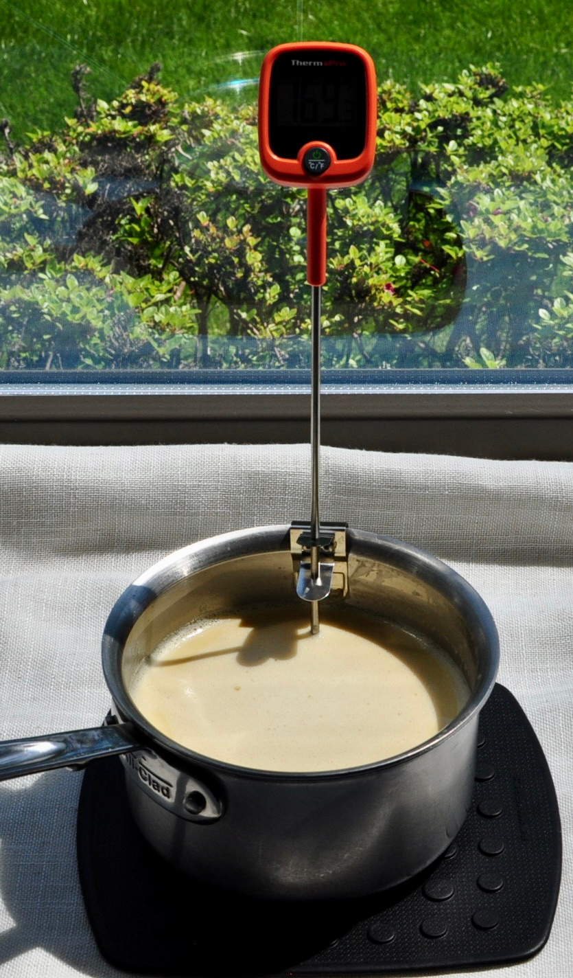 Black Sesame Ice Cream Tempered Egg 170 Degrees