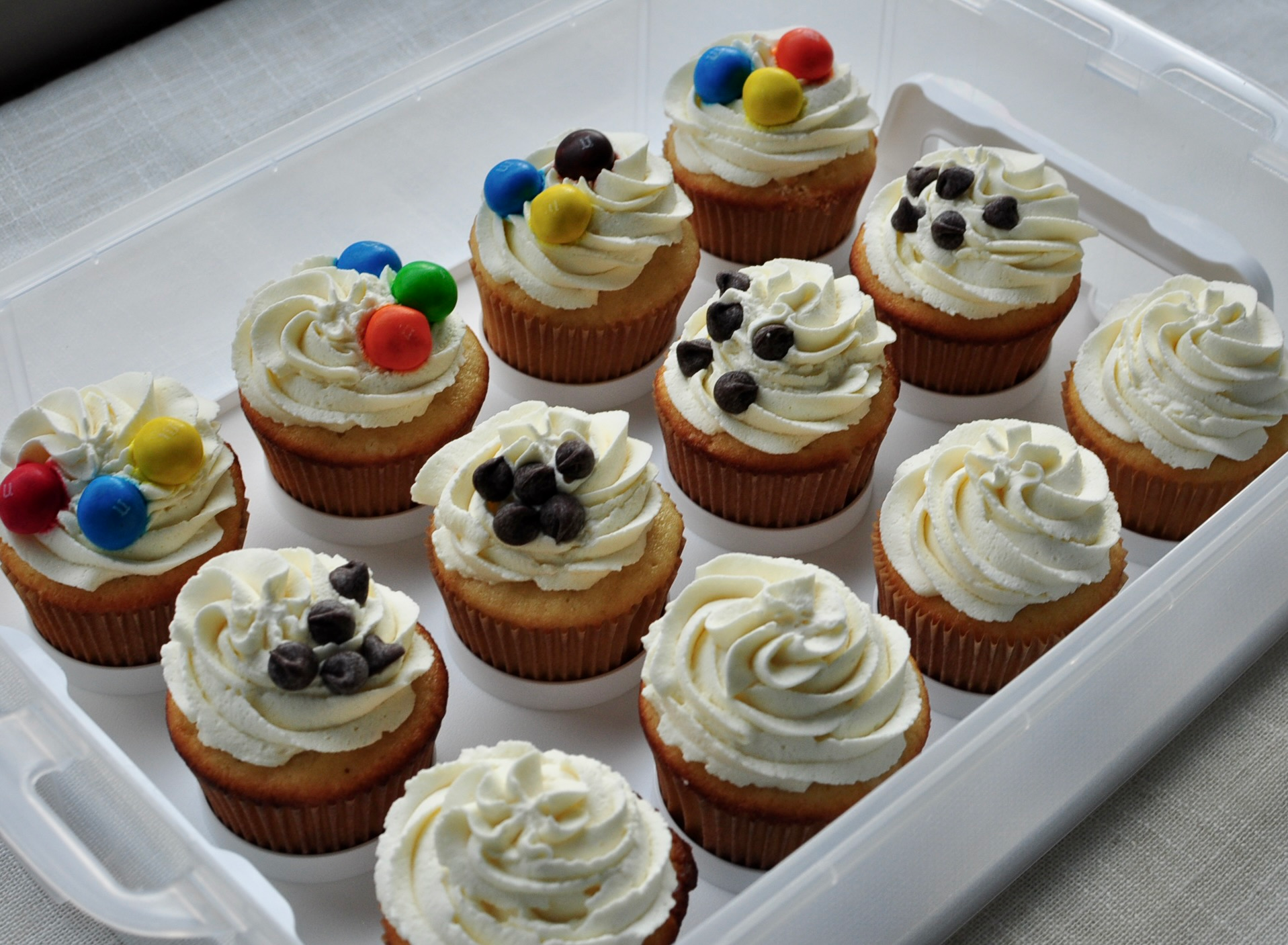 Frosted Vanilla Cupcakes in a Cupcake Carrier