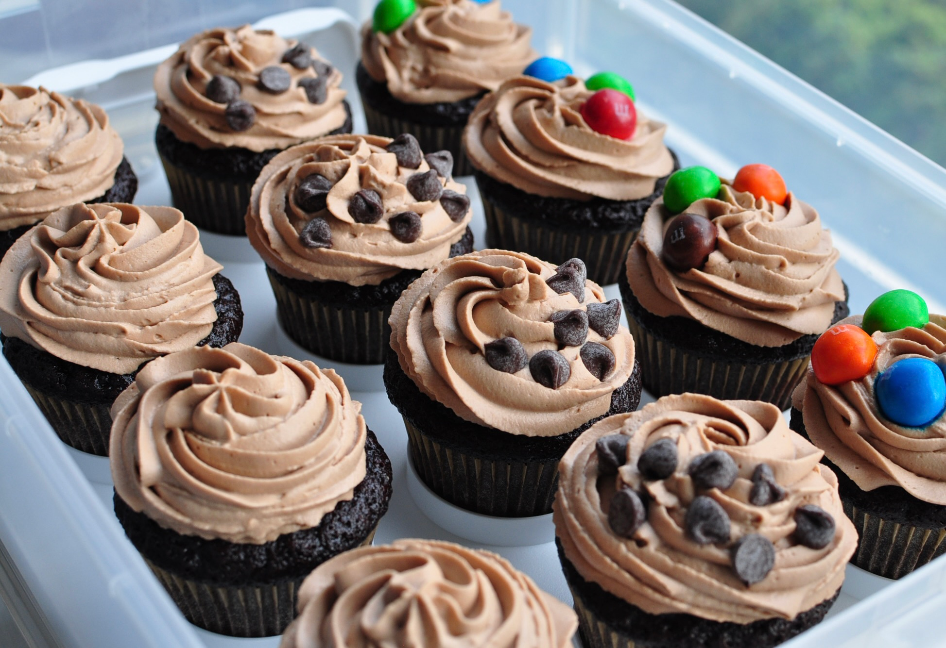 Homemade Chocolate Cupcakes in Cupcake Carrier