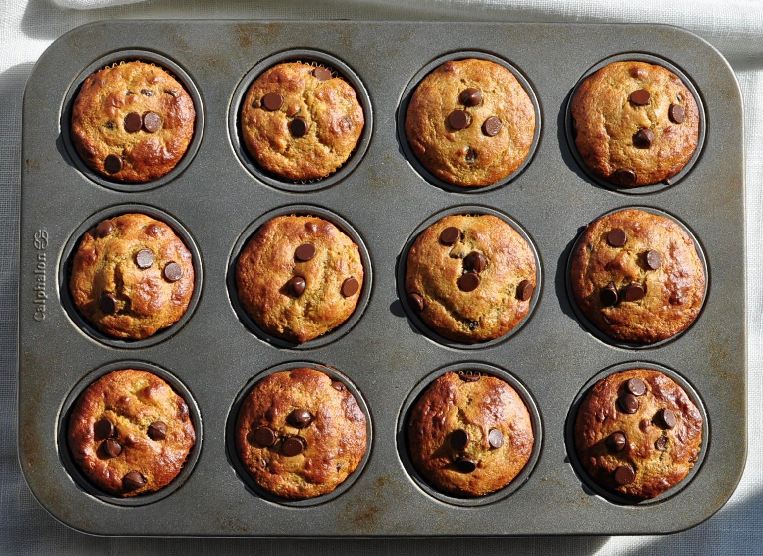 Banana Protein Muffins with Protein Powder