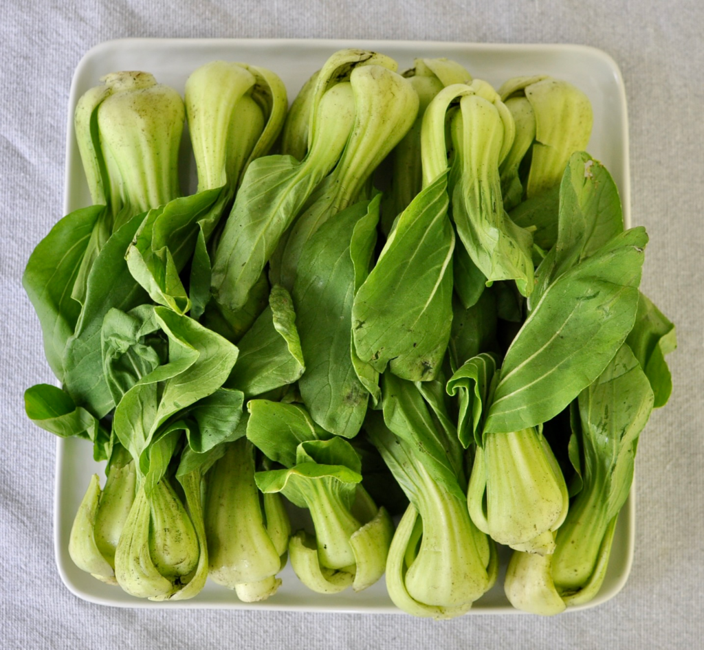 Shanghai Bok Choy